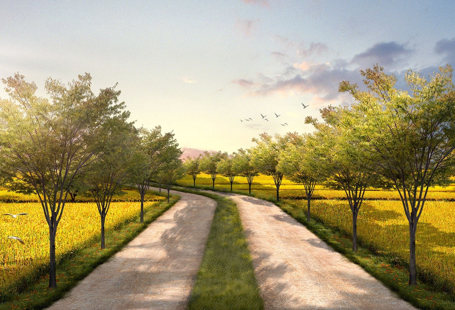 泥土超疏水乳液