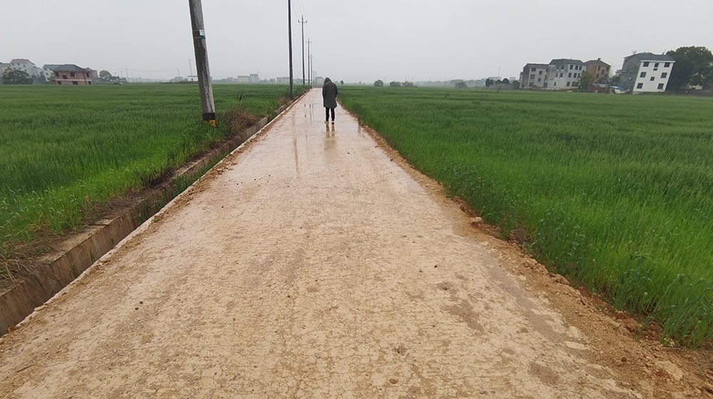 浙江长沙金东区万亩良田建复工程数公里生态超疏水土机耕路