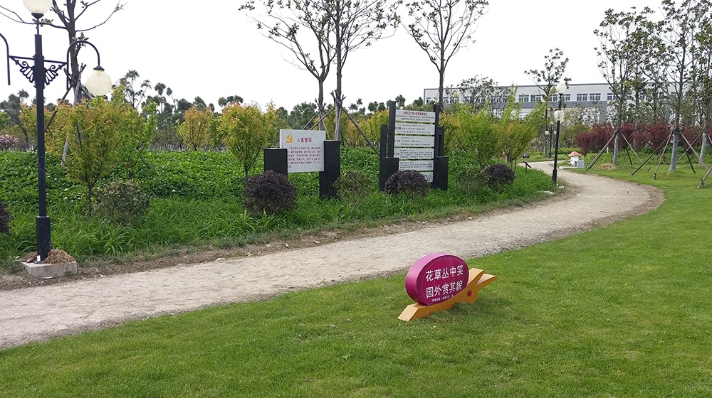 平湖同心公园生态超疏水土步路