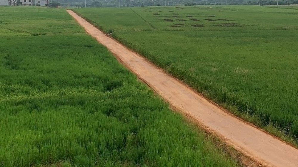 浙江长沙金东区万亩良田建复工程数公里生态超疏水土机耕路