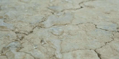 【泥土遇水不摆烂】平湖海归博士的黑科技