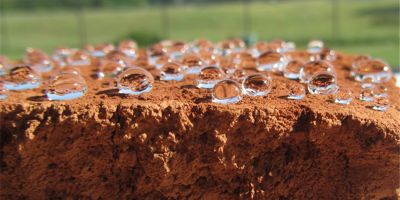 平湖新闻综合频路《平湖新闻》