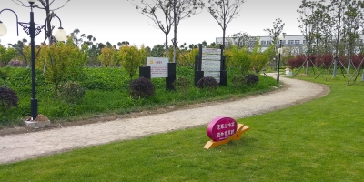 简讯：ewin官方网站科技跨出国门